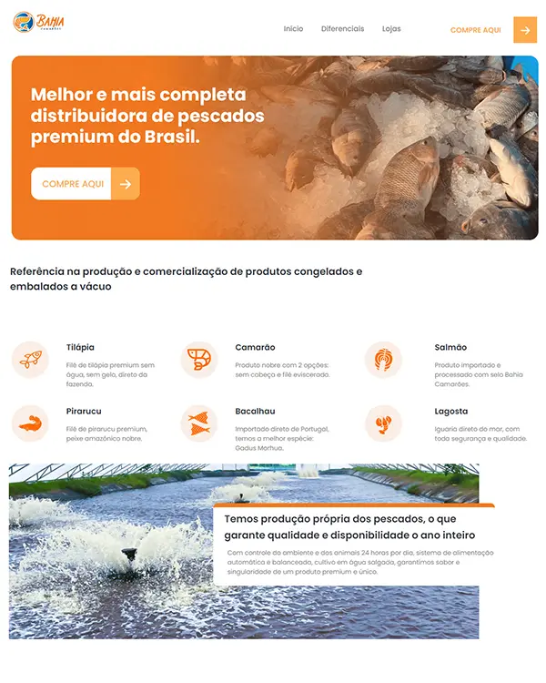 Site Institucional - Projeto 24